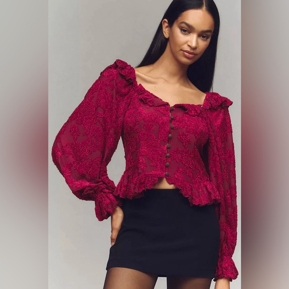 Anthropologie velvet paisley  Size M Whitney Blouse
